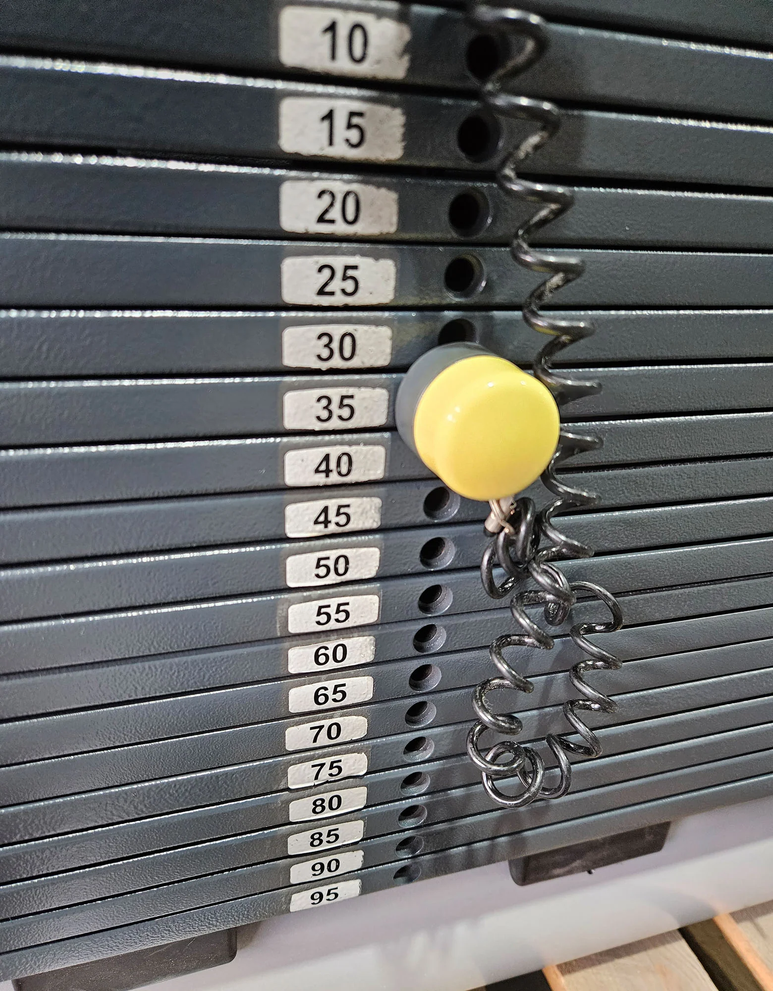 Technogym 2er Set = Beinstrecker und Beinbeuger, Leg Extension and Leg Curl Set, Selection Line, Rahmenfarbe Silber, gebraucht - überholter Zustand - Image 8