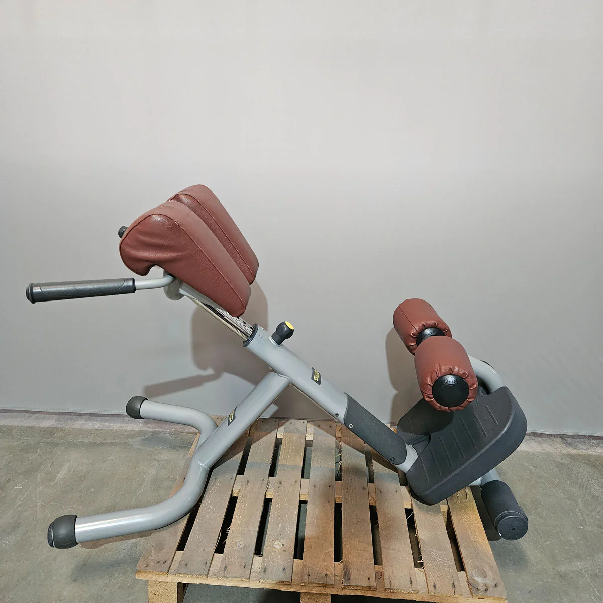 Technogym 2er Set Lower Back Bench und Abdominal Bench - Hyperextension Rückenstreckerbank und verstellbare Bauchbank, Rahmen Silber, gebraucht - überholter Zustand - Image 4
