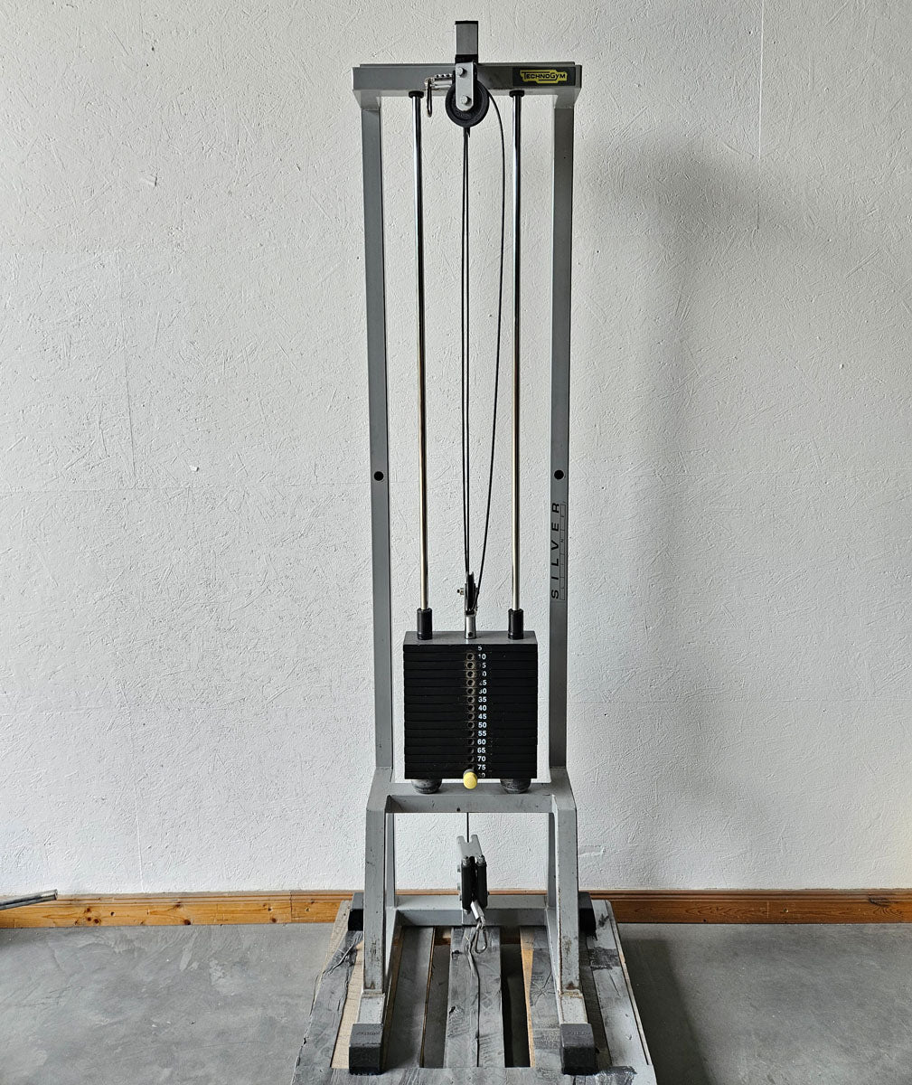 TechnoGym 2x Kabelzug, Cable Crossover, Seilzug von oben und unten, Silverline, Oldschool, Rahmenfarbe Silber, gebraucht - mit Gebrauchsspuren - Image 4