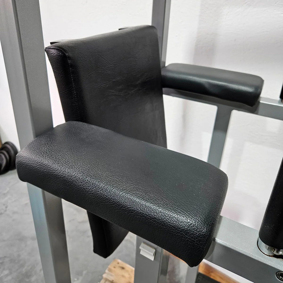 Technogym 3 in 1 Gerät, Dips, Beinheben und Klimmzug Ständer, Silverline, Rahmen Silber, gebraucht - geprüfter Zustand mit Gebrauchsspuren - Image 5