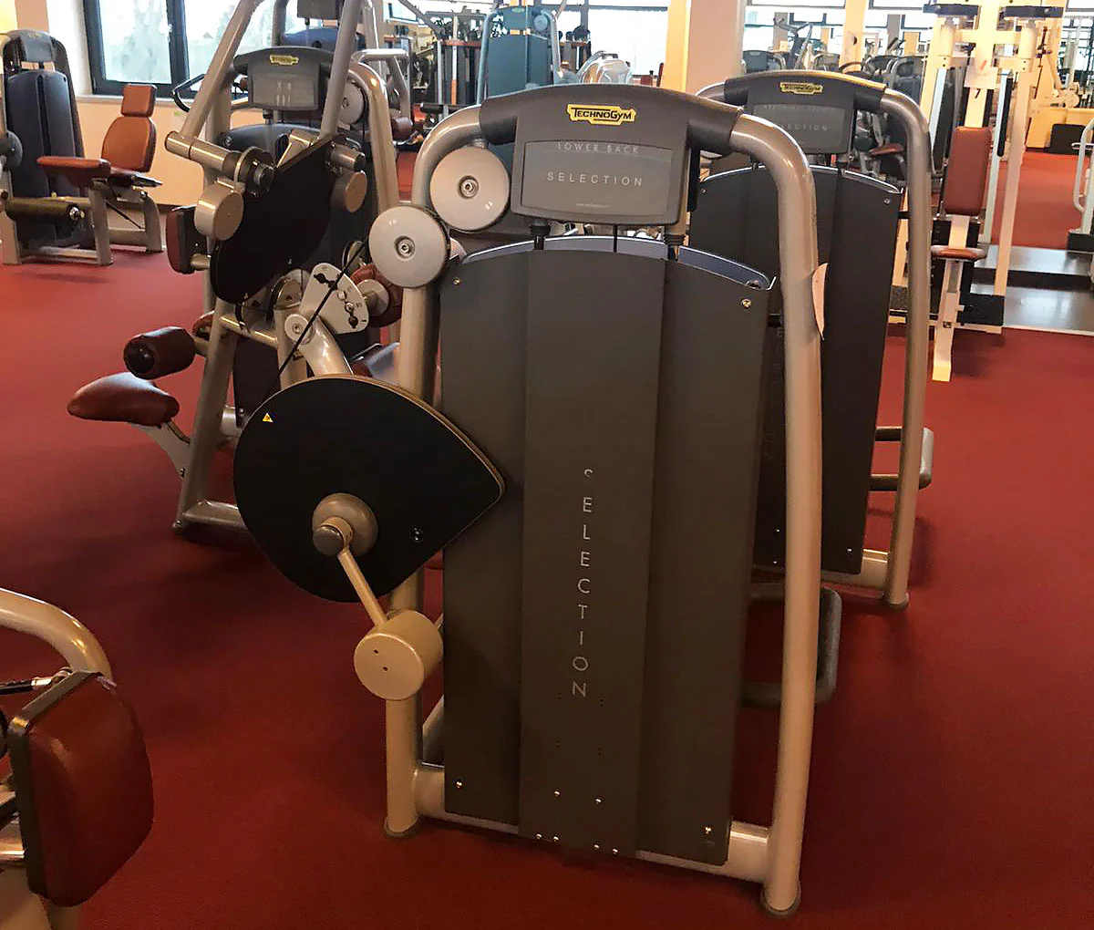 TechnoGym Back Extension, Rückenstreckermaschine, Hyperextension, Selection Line - Neues Modell mit Plastikverkleidung, Polster Braun, gebraucht - überholter Zustand - Image 3