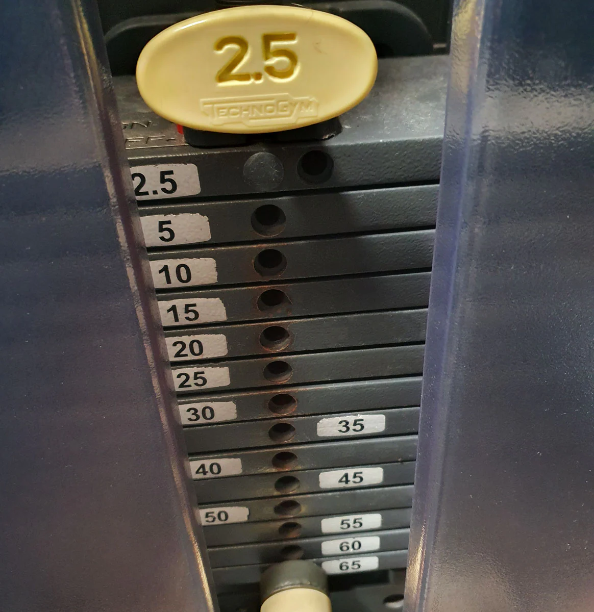 TechnoGym Back Extension, Rückenstreckermaschine, Hyperextension, Selection Line - Neues Modell mit Plastikverkleidung, Polster Braun, gebraucht - überholter Zustand - Image 4