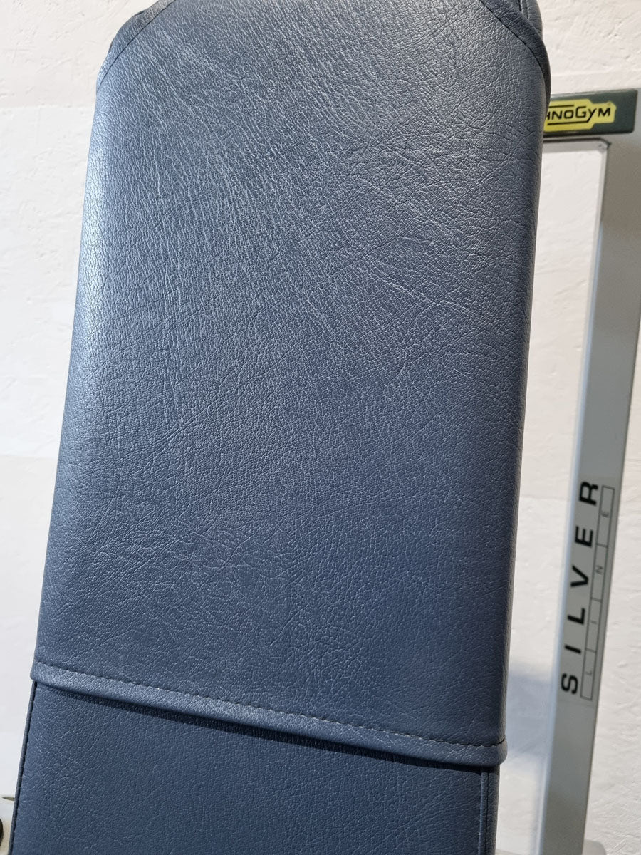 Technogym Dip sitzend, Trizepsmaschine, Stützstemme, Armstrecker, Rahmenfarbe Silber, Silverline, gebraucht - überholter Zustand - Image 9