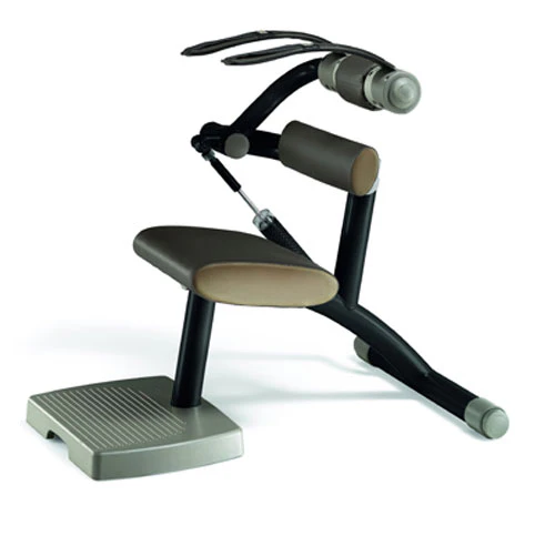 TechnoGym Easy Line Zirkelgerät, Bauch und Rückenstrecker, Kombigerät 2 in 1, Einzelgerät hydraulisch, Polster Braun, gebraucht - Image 2