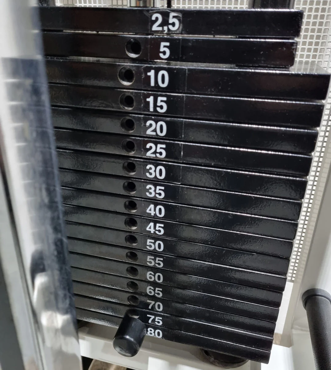Technogym Ercoline Rehab, Kabelzug höhenverstellbar, Seilzug, Zugapparat 80kg, Rahmenfarbe Weiß, gebraucht - überholter Zustand - Image 11