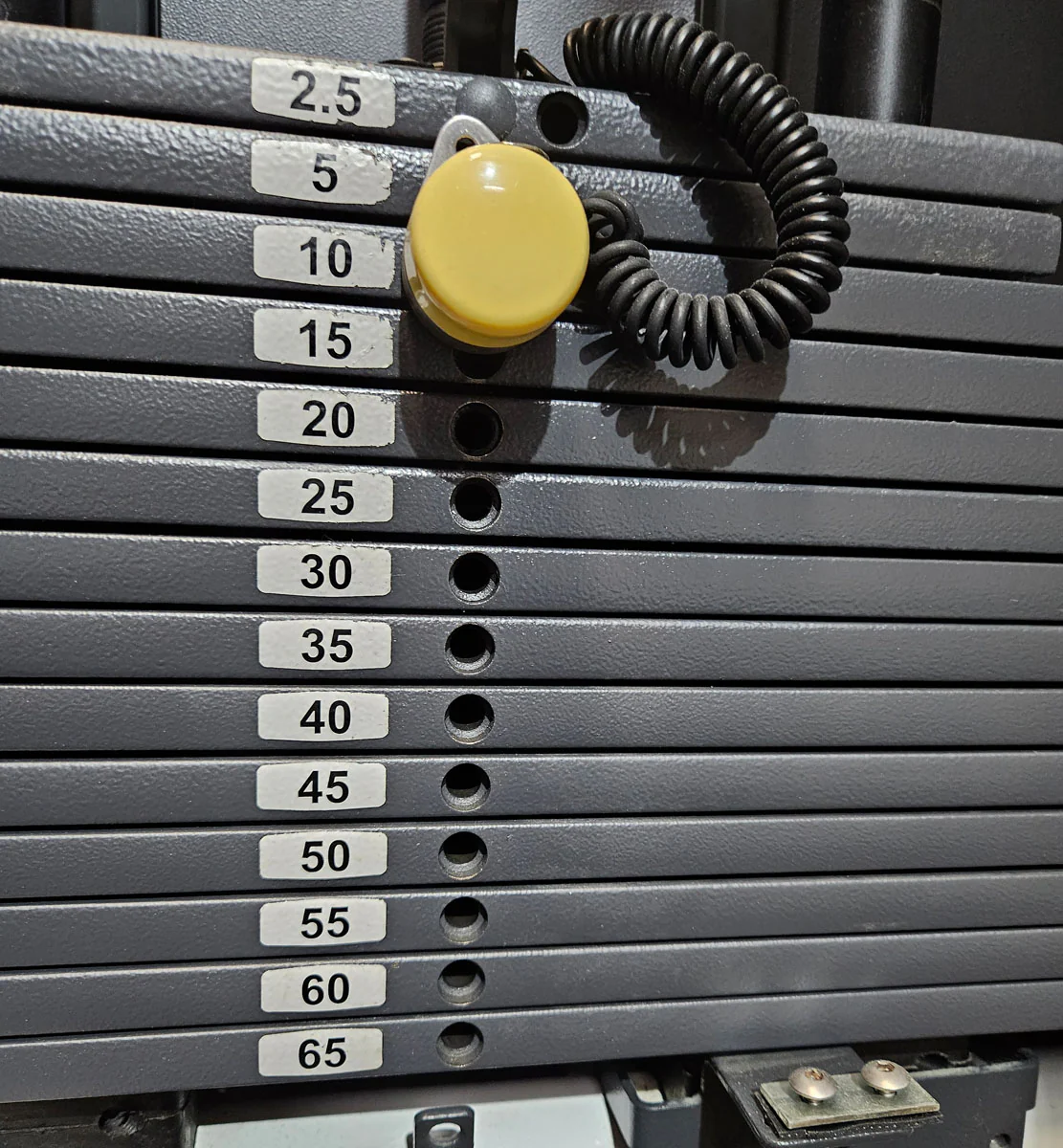 Technogym Rotationsmaschine, Rotary Torso, Twister, Selection Line, Rahmenfarbe Weiß, Polsterfarbe Braun, gebraucht - überholter Zustand - Image 7
