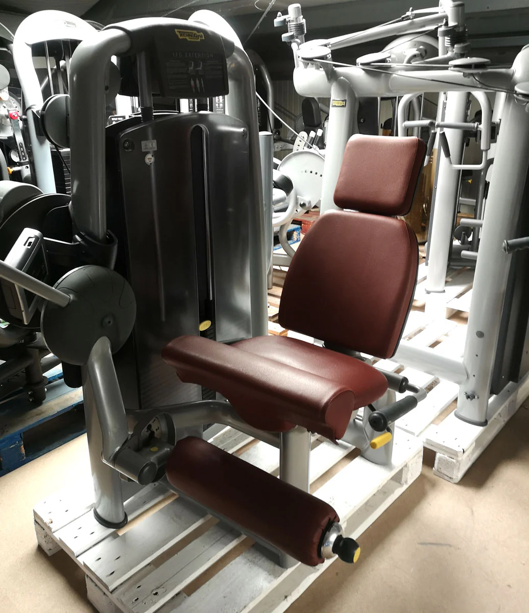 TechnoGym Selection Line MED 8 Medizinische Kraftgeräte im Set, Reha Fitnessgeräte Ausstattung, gebraucht - überholter Zustand - Image 4