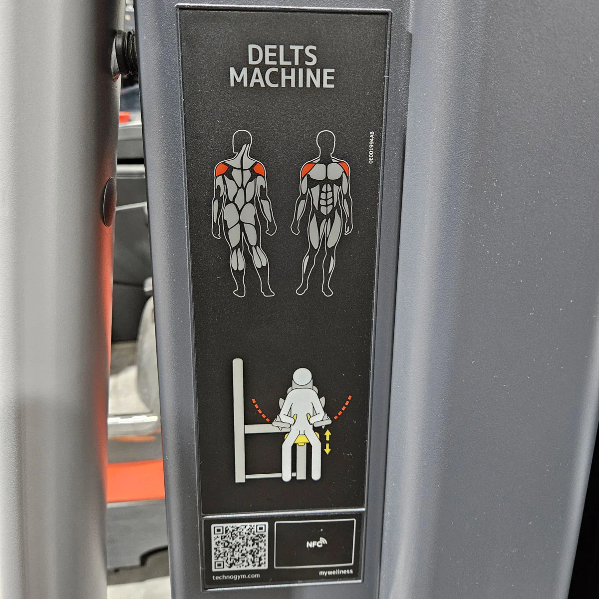 Technogym Selection Pro Seitheben, Delts Machine Kraftgerät für Schultertraining, Lateral Raise, Rahmenfarbe Silber, gebraucht - überholter Zustand - Image 8