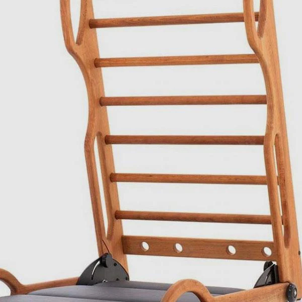 WaterRower NOHrD Elasko Kirsche, Kunstleder/ Echtleder - Image 4