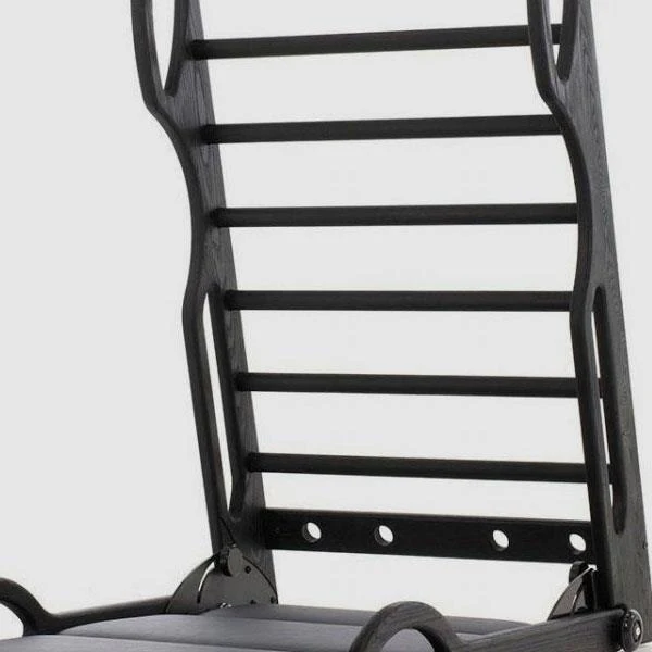 WaterRower NOHrD Elasko Shadow, Kunstleder/ Echtleder - Image 4